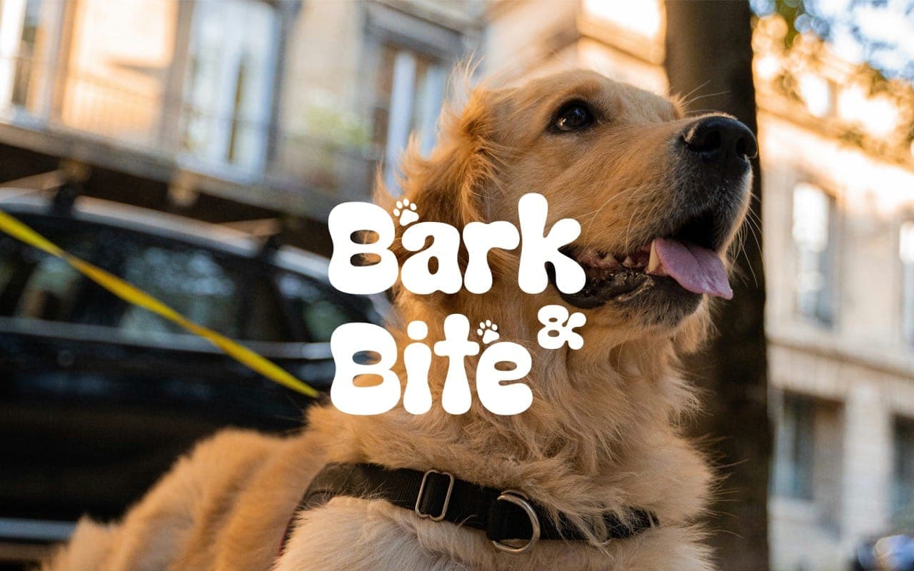 Bark & Bite — Logo & Branding by Web Innoventix