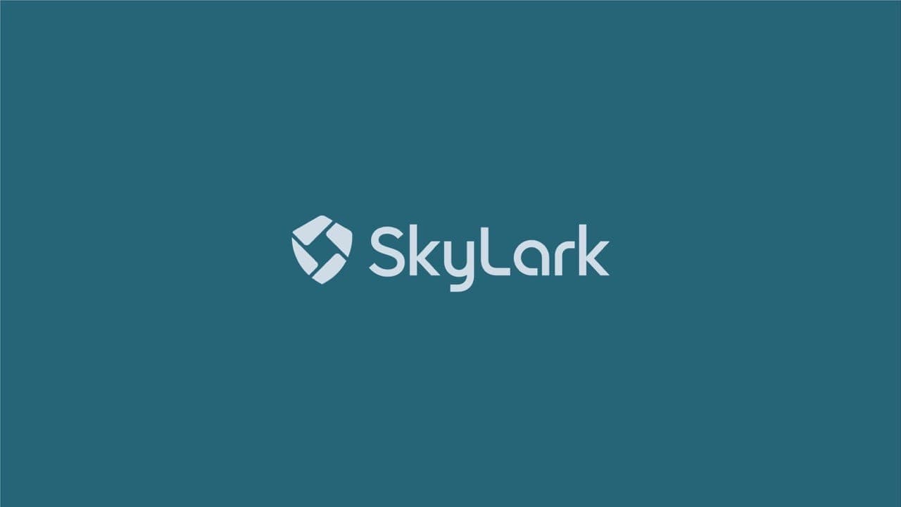 Skylark — Logo & Branding by Web Innoventix