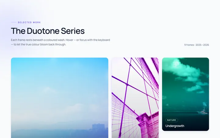 Duotone Hover Gallery