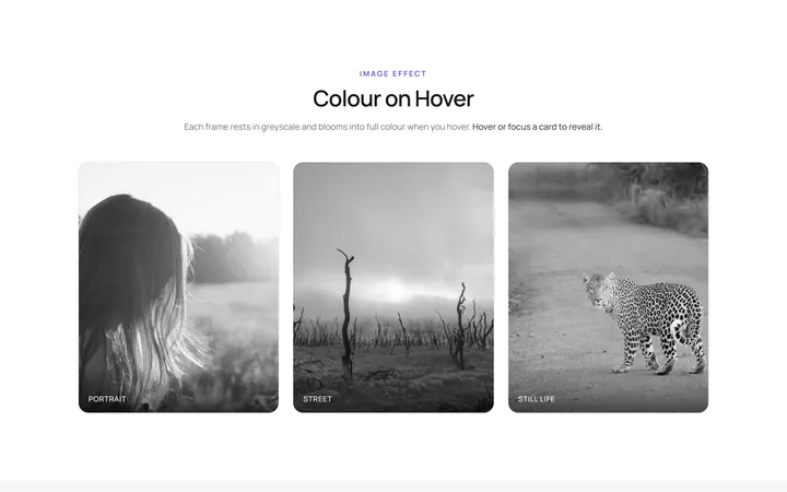 Color Grayscale Effect