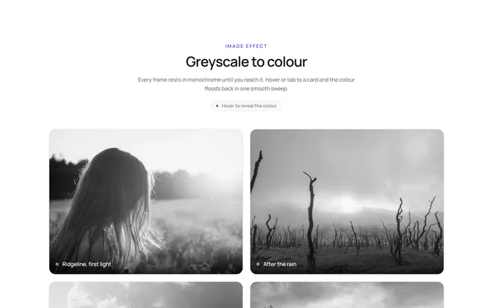 Grayscale Color Effect