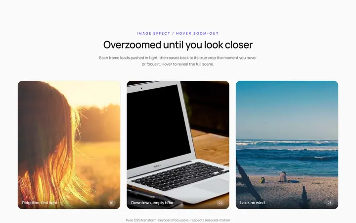 Hover Zoom Out Effect