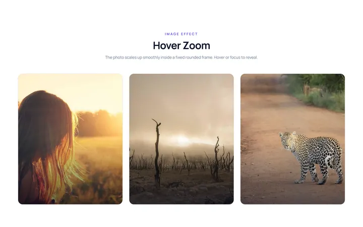 Hover Zoom Effect