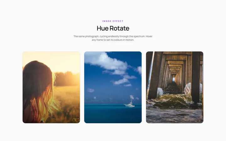 Hue Rotate Effect