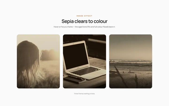 Sepia Clear Effect