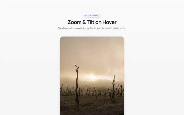 Zoom Rotate Effect