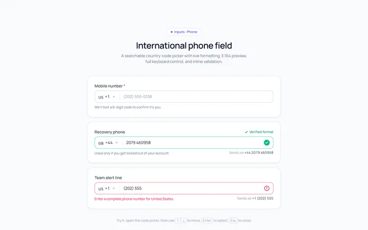 Phone Input