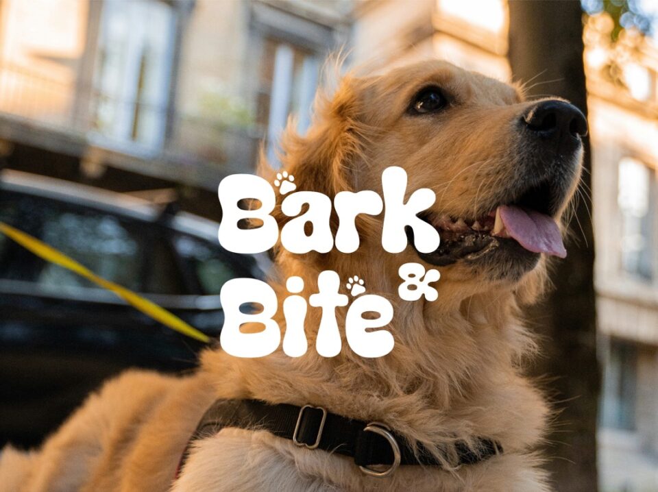 Bark & Bite - Featured