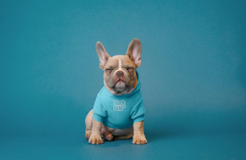 Bark & Bite - Mockup 4